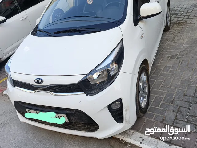 كيا بيكانتو 2020 ولا غرام دهان دهان الشركة