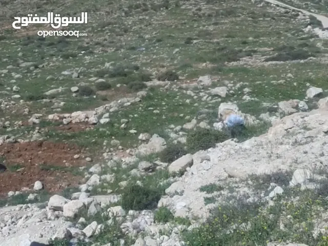 Residential Land for Sale in Hebron Dura