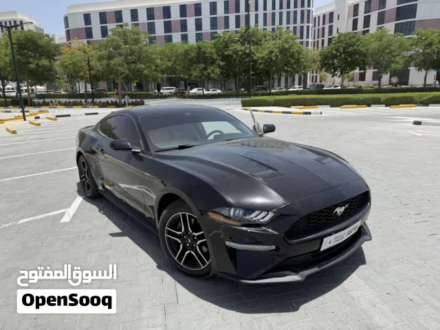 2019 فورد موستانج EcoBoost