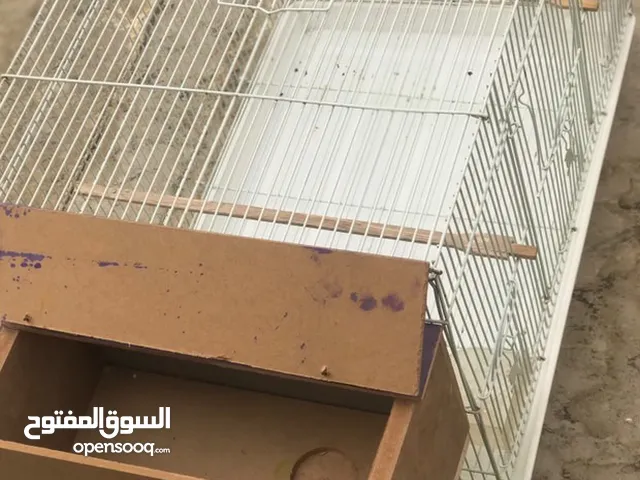 السلام عليكم قفص كوكتيل جديد مامستخدم مع بيت تكاثر سعر ب25