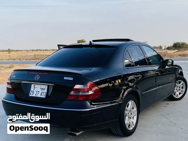 2008 Mercedes Benz E-Class E 320