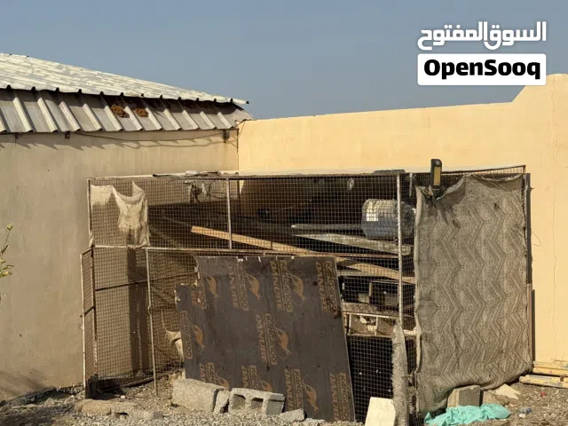 قفص كبير الحجم