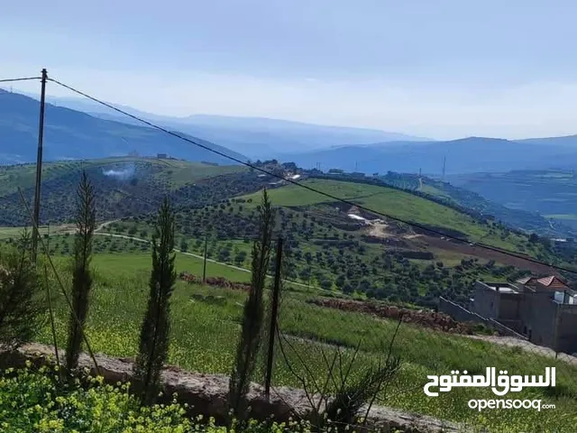 Mixed Use Land for Sale in Jerash Unaybah