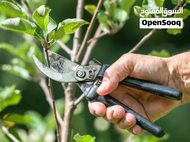 أبو محمود ل قص وتقليم الاشجار وتنسيق الحدائق، ورش المبيدات الزراعية