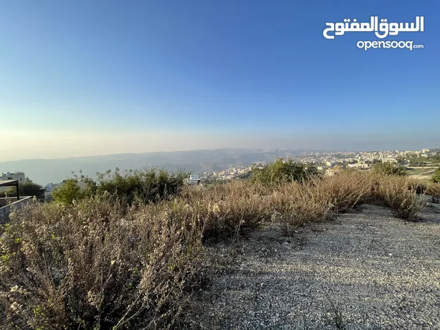 Residential Land for Sale in Amman Mahes