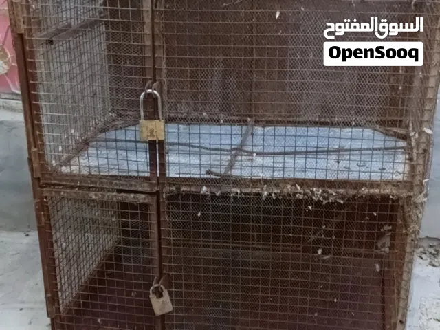 قفص حديد قياسات بال 120 خانتين بس الارضية مالتة شلتهة لان بايدة