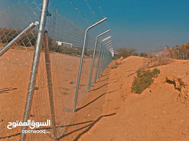 تركيب شبوك وزراعة نخيل