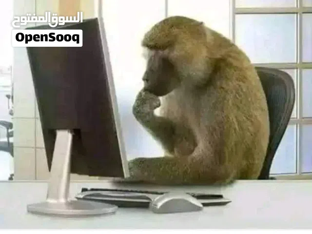 الفيحاء مربع 4 سنقل شهادة بحث