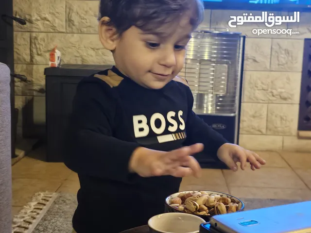 Aboud hawash