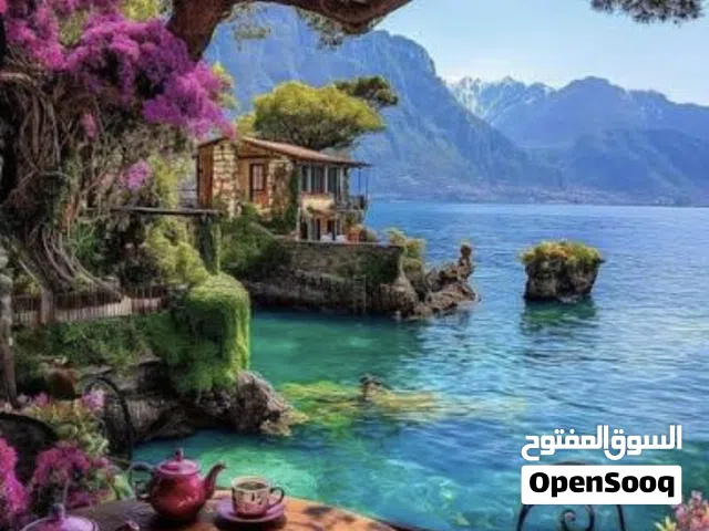 السلام عليكم ورحمة الله وبركاته  خدمة بمقابل