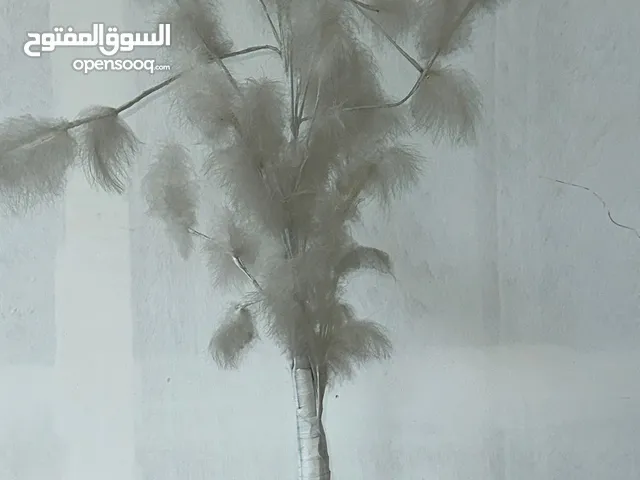 اغراض صالون وسبا سيدات للبيع