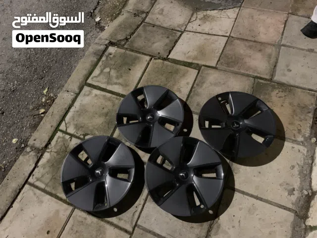 طاسات تيسلا