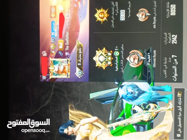 Pubg Accounts and Characters for Sale in Amman