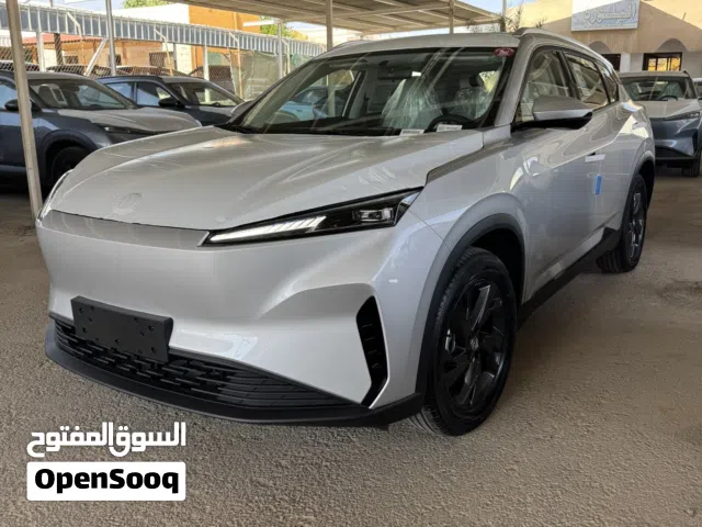 2027 Dongfeng Sky EV01