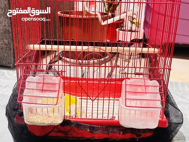 Bird cage for sale