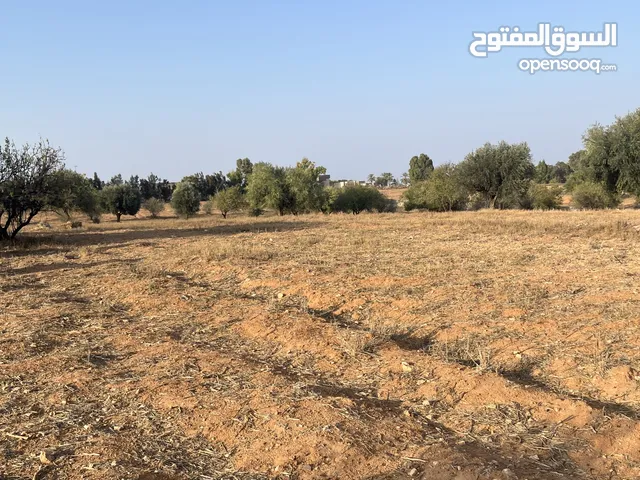 أرض للبيع في غنيمة – الخمس