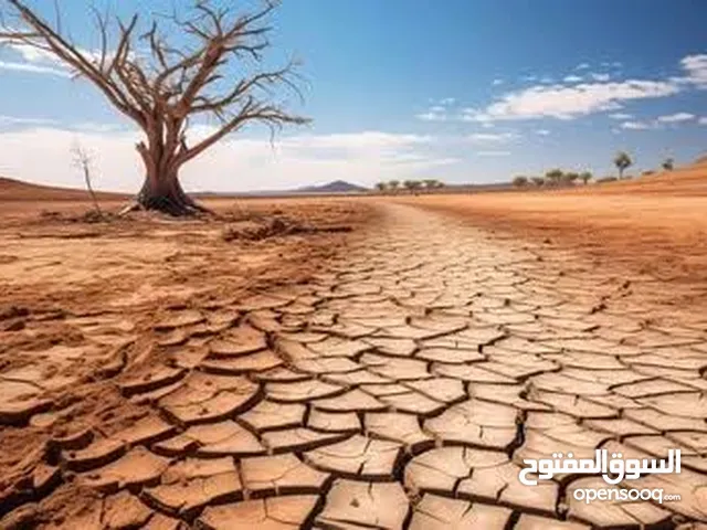 Mixed Use Land for Sale in Bethlehem Tuqu