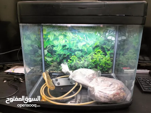 Fish tank For sale حوض سمك زينة زجاجي