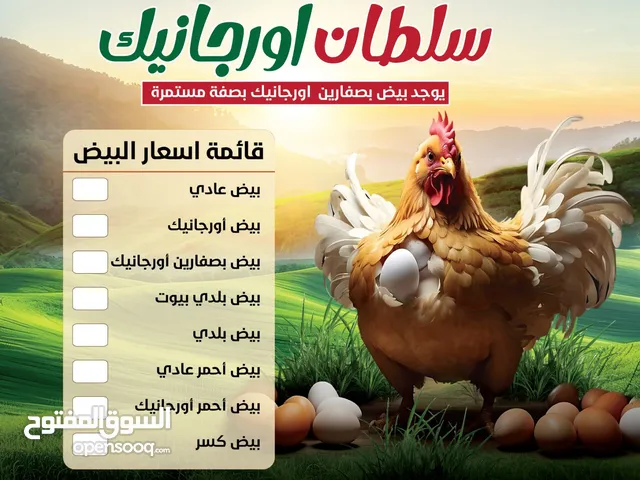السلطان اورجانك لتوريد بيض المائدة جمله للفنادق والمطاعم والهيبارات والماركات