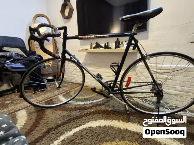 بسكليت سباق