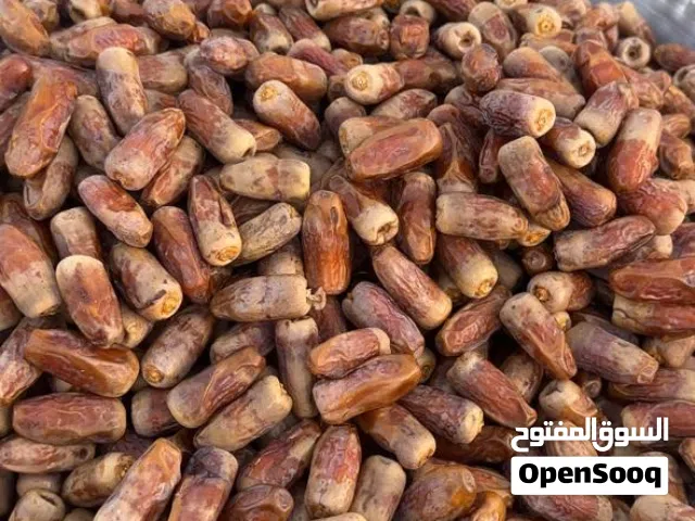 سح نغال 2026 الكيلو ريال