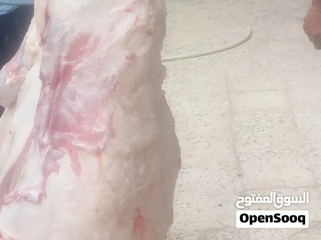 جزار في ليبيا
