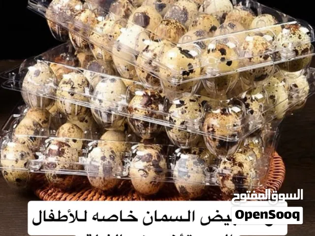 للبيع بيض سمان