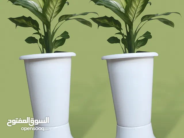 Transform Your Space with These Sleek, Modern Plant Pots – Where Minimal Design Meets Everyday