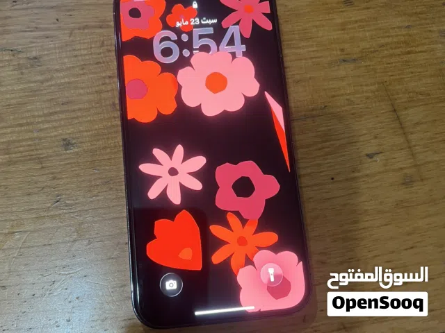 12برو ماكس 256