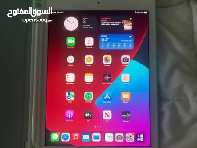 Ipad mini 5 Rose Color