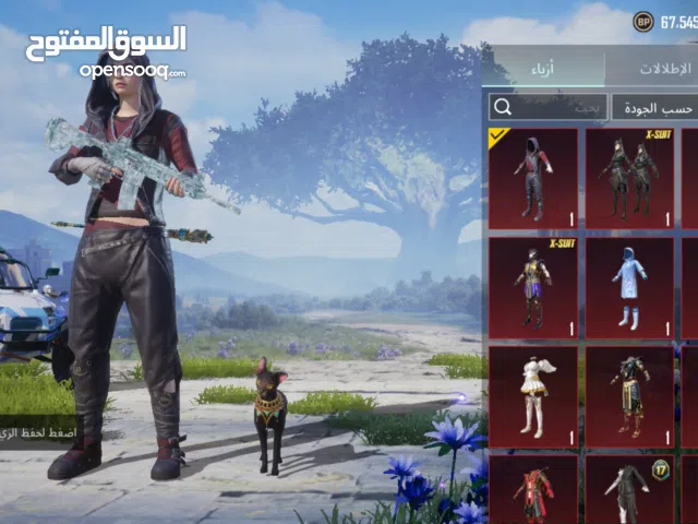 Pubg Accounts and Characters for Sale in Ramallah and Al-Bireh