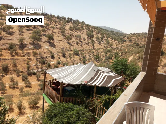 Farm Land for Sale in Salt Al Subeihi