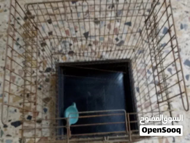 قفص طيور كبيره او صغيره
