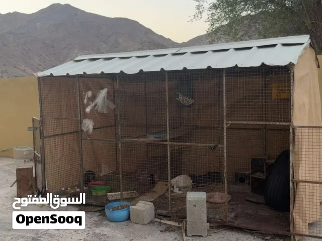 ثلاجه سمك / شبك/ وقفص