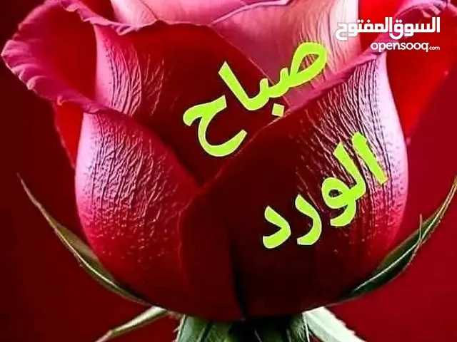 Other in Tripoli