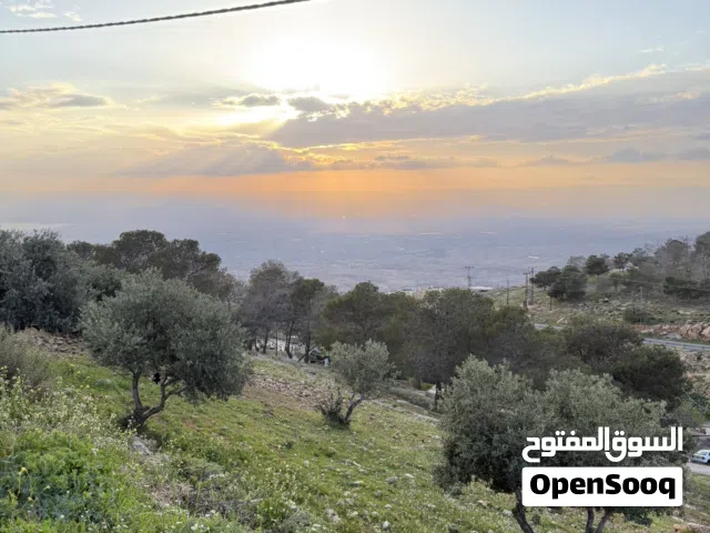 أرض مميزة بإطلالة غربية على البحر الميت بالقرب من عمّان