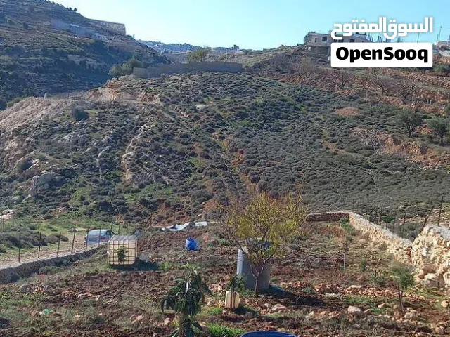 Mixed Use Land for Sale in Bethlehem Other