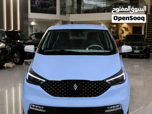 2026 JMEV EV3