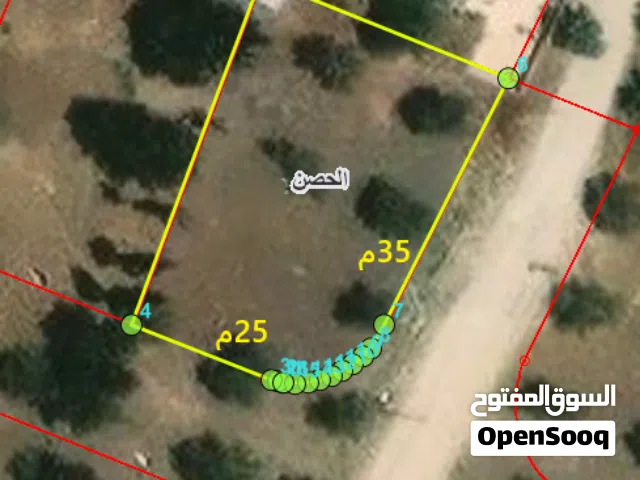 822م - الحصن - حوض طبول كوتيه مزروعة زيتون تصلح لشخصين - شارعين -تقع غرب المركز الصحي الشامل