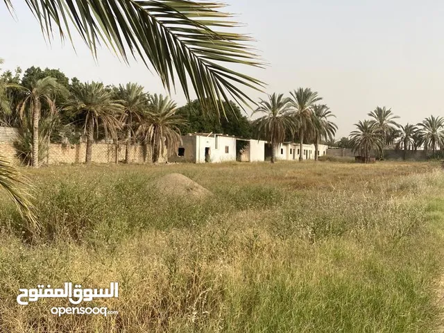 قطعة أرض للبيع في مقسم بن غرسة - نهاية الطريق السريع قبل جزيرة الغيران، طرابلس