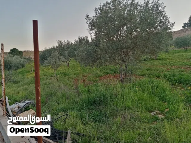 Farm Land for Sale in Jerash Unaybah