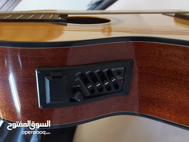 جيتار كلاسك مع نضام تكبير الصوت