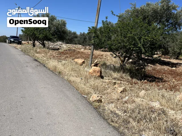 Mixed Use Land for Sale in Jerash Al-Kittah