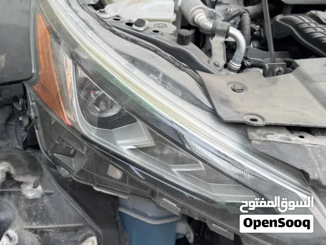 ليت التيما 2019