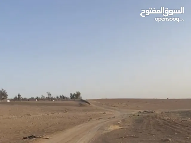 جنوب عمان ام رمانة حوض رجم الجحاوشه 4140م