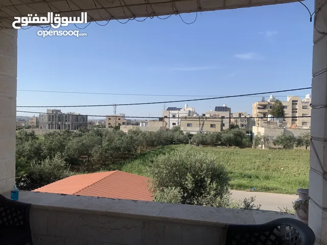 شقة للإيجار اربد الحصن واحده مفروشة والثانية غير مفروشة