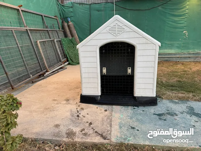 بيت بلاستيك لايواء الكلاب