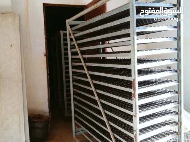 حضانه بيض للبيع