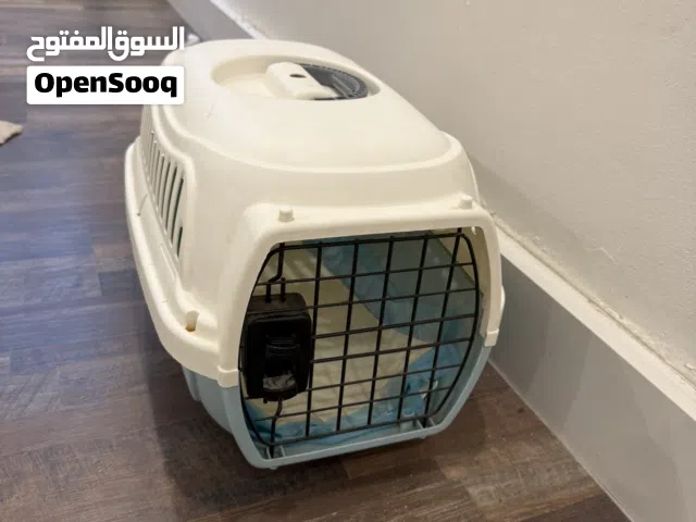 اكسسورات حيوانات