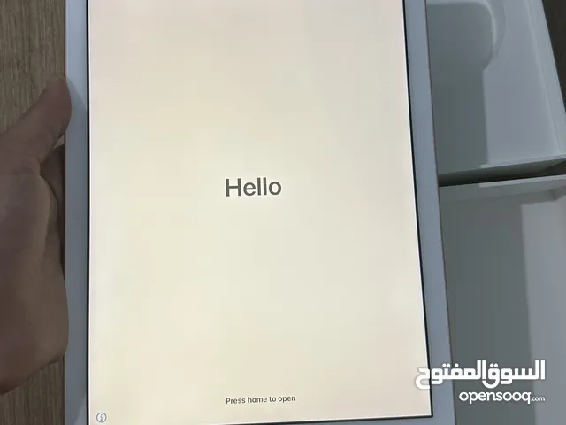 iPad (6th generation)